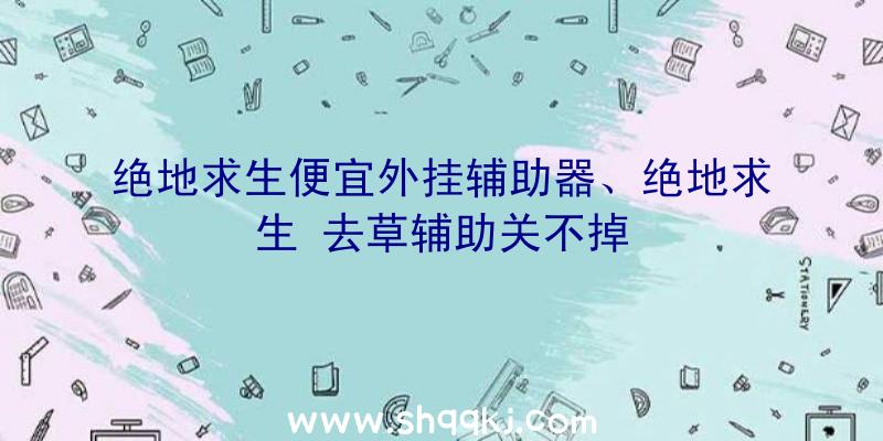 绝地求生便宜外挂辅助器、绝地求生